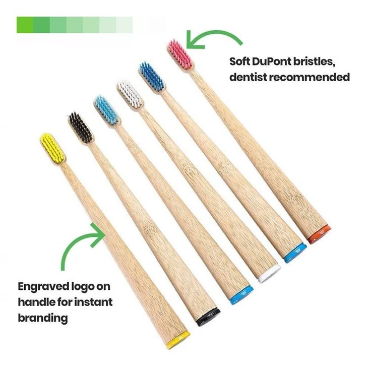 castor oil bristles